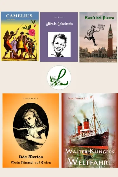 Ausgewählte Jugendromane – 5 Bücher Paket