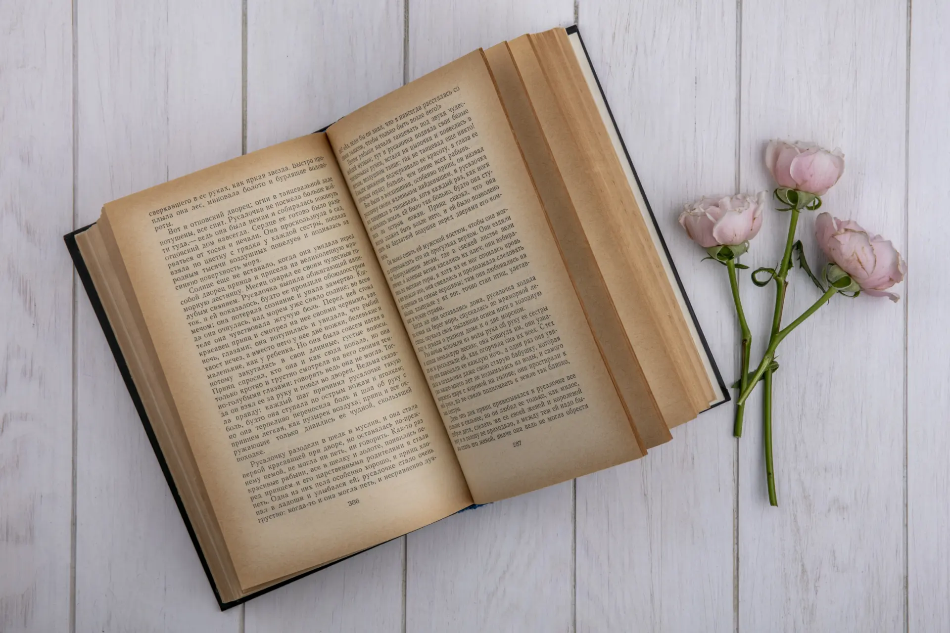 top-view-light-pink-roses-with-open-book-gray-surface